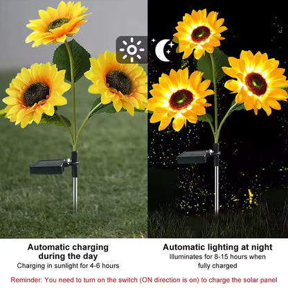 Solar Sonnenblume