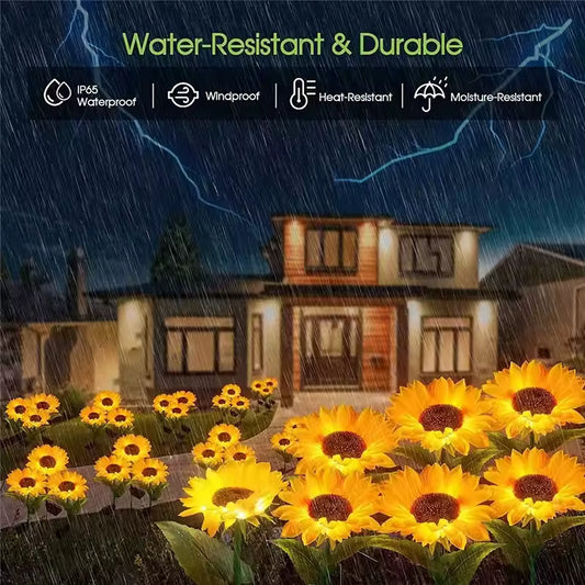 Solar Sonnenblume